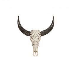 BUFFALO SKULL WITH CARVING 